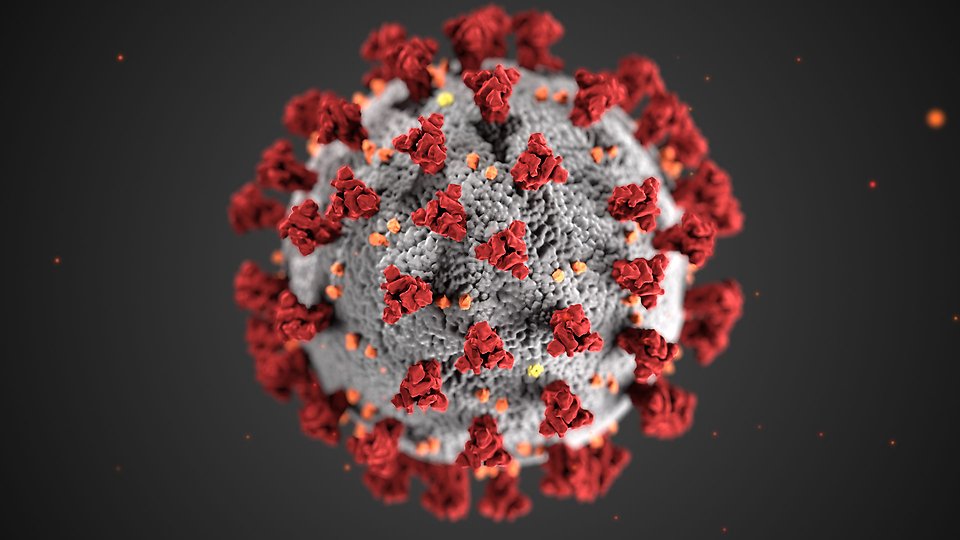 Bildförstoring av corona-virus