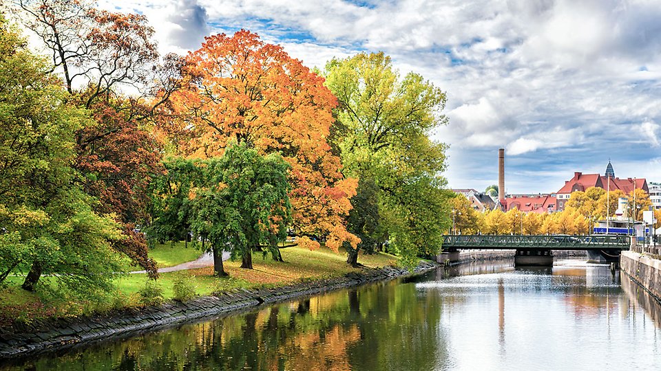 En å rinner genom ett stadslandskap. Trädens löv har färgats i höstens färger, gult, rött och grönt.